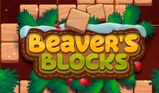 Beaver's Blocks