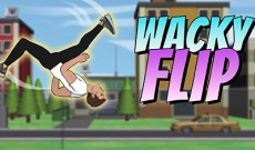 Wacky Flip Wacky Flip