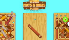 Wood Bolts Nuts Screw Pin Puzzle