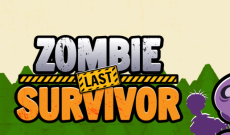 Zombie Last Survivor